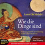 Nydahl, Lama Ole: Wie die Dinge sind