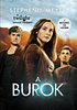 Stephenie Meyer: A burok