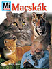 Rainer Köthe: Macskák