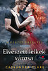 Cassandra Clare: Elveszett lelkek városa - A Végzet Ereklyéi 5.