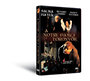 A Notre Dame-i toronyőr