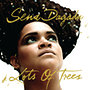 Sena Dagadu: Lots Of Trees