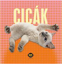 Cicák